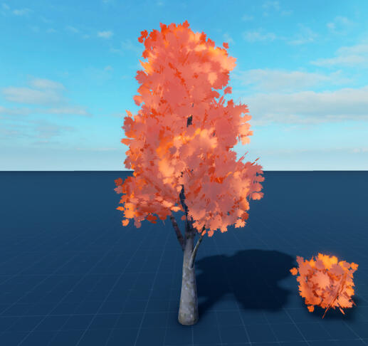 Maple Tree