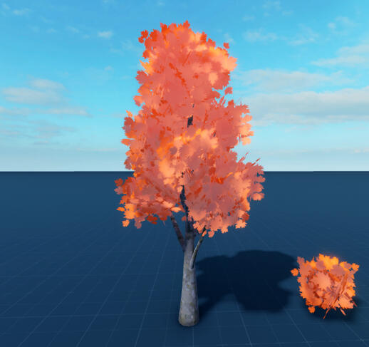 Maple Tree Maple Tree